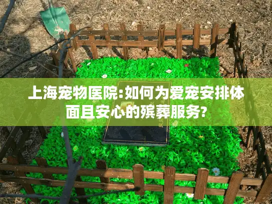 上海宠物医院:如何为爱宠安排体面且安心的殡葬服务?