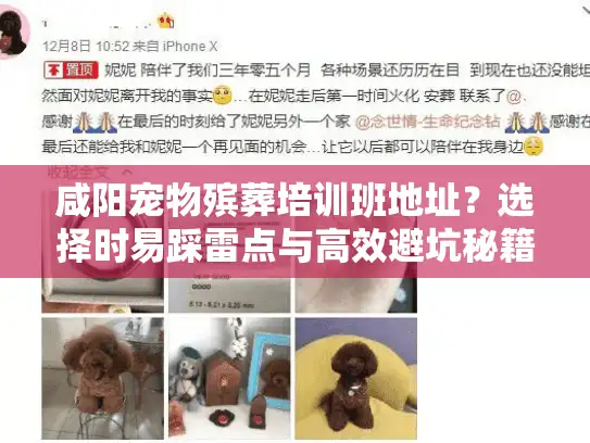 咸阳宠物殡葬培训班地址？选择时易踩雷点与高效避坑秘籍
