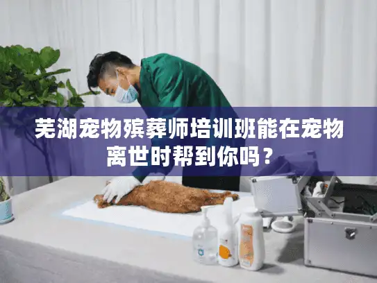 芜湖宠物殡葬师培训班能在宠物离世时帮到你吗？