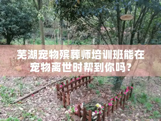 芜湖宠物殡葬师培训班能在宠物离世时帮到你吗？