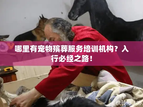 哪里有宠物殡葬服务培训机构？入行必经之路！