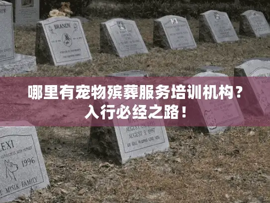 哪里有宠物殡葬服务培训机构？入行必经之路！