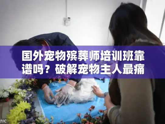 国外宠物殡葬师培训班靠谱吗？破解宠物主人最痛心的选择难题