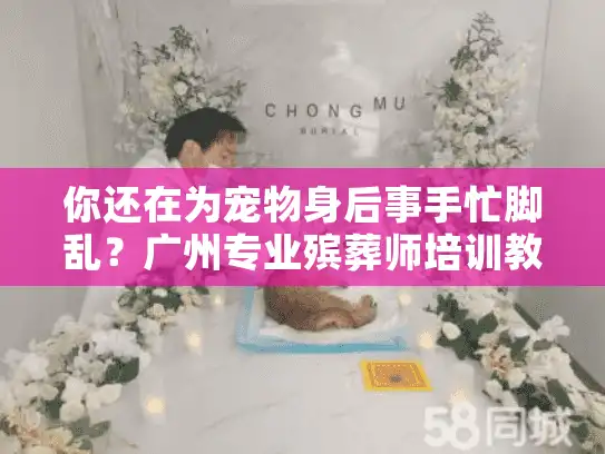 你还在为宠物身后事手忙脚乱？广州专业殡葬师培训教你告别慌乱