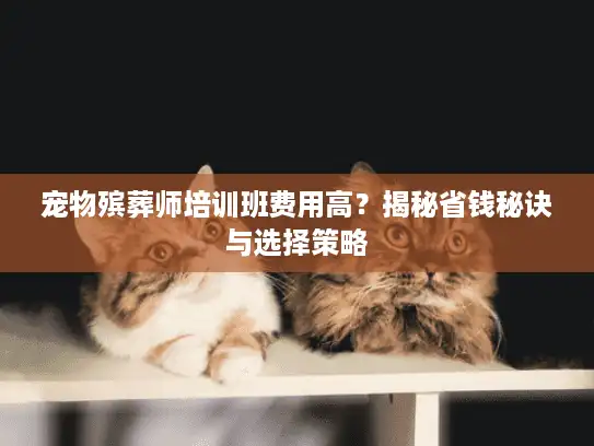 宠物殡葬师培训班费用高？揭秘省钱秘诀与选择策略