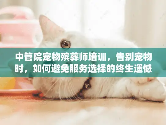 中管院宠物殡葬师培训，告别宠物时，如何避免服务选择的终生遗憾？