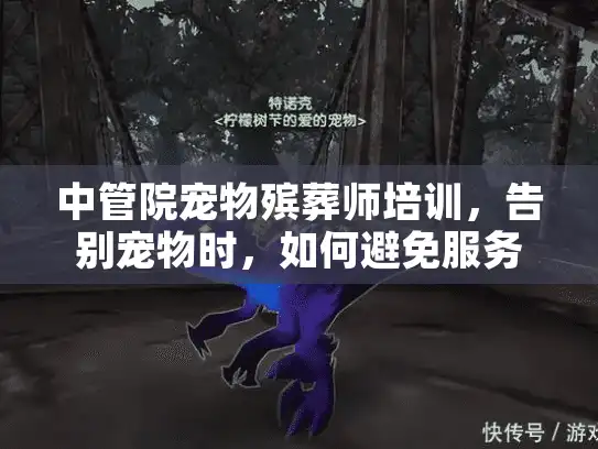 中管院宠物殡葬师培训，告别宠物时，如何避免服务选择的终生遗憾？