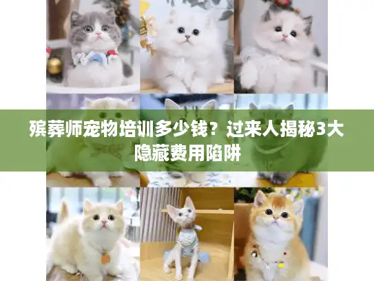 殡葬师宠物培训多少钱？过来人揭秘3大隐藏费用陷阱
