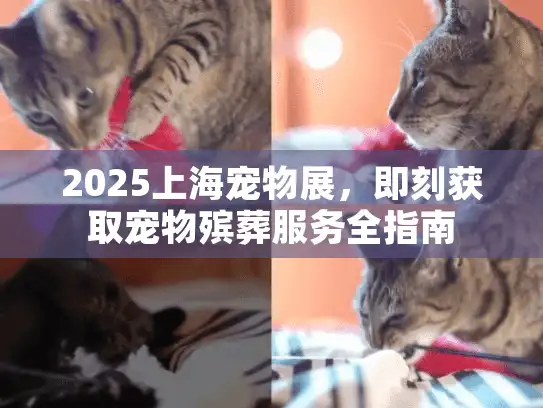 2025上海宠物展，即刻获取宠物殡葬服务全指南