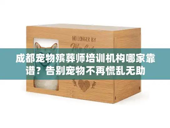 成都宠物殡葬师培训机构哪家靠谱？告别宠物不再慌乱无助