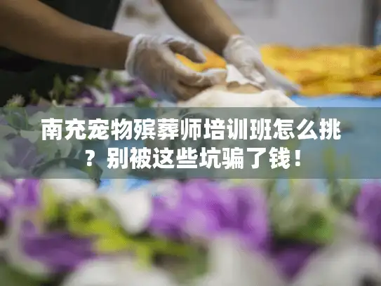 南充宠物殡葬师培训班怎么挑？别被这些坑骗了钱！