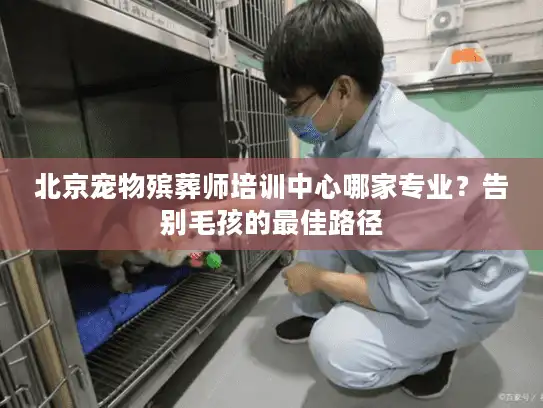 北京宠物殡葬师培训中心哪家专业？告别毛孩的最佳路径