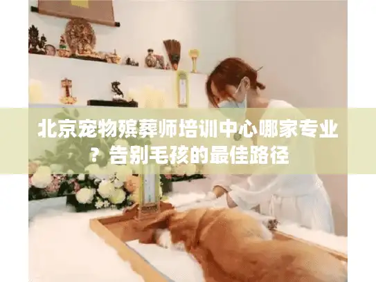 北京宠物殡葬师培训中心哪家专业？告别毛孩的最佳路径