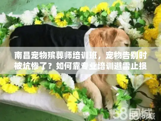 南昌宠物殡葬师培训班，宠物告别时被坑惨了？如何靠专业培训避雷止损