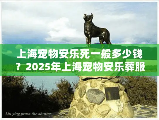 上海宠物安乐死一般多少钱？2025年上海宠物安乐葬服务费用全解析