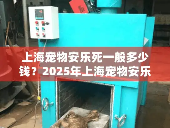 上海宠物安乐死一般多少钱？2025年上海宠物安乐葬服务费用全解析