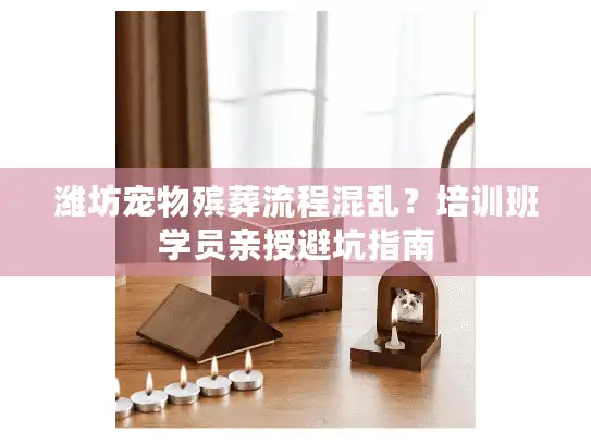 潍坊宠物殡葬流程混乱？培训班学员亲授避坑指南