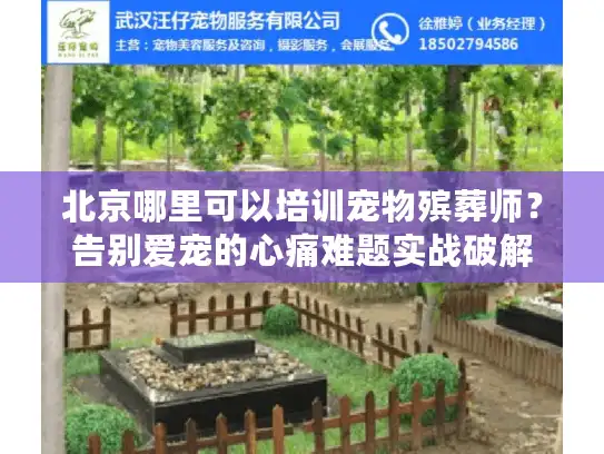 北京哪里可以培训宠物殡葬师？告别爱宠的心痛难题实战破解