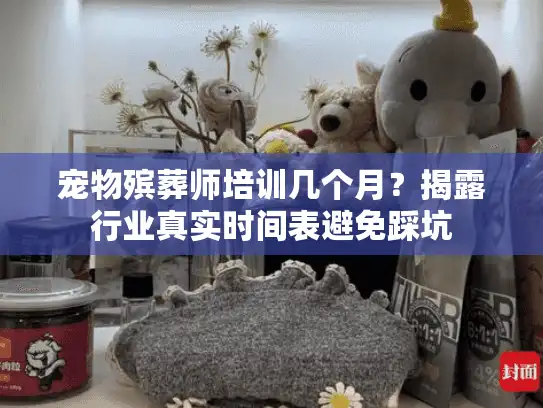 宠物殡葬师培训几个月？揭露行业真实时间表避免踩坑