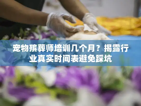 宠物殡葬师培训几个月？揭露行业真实时间表避免踩坑