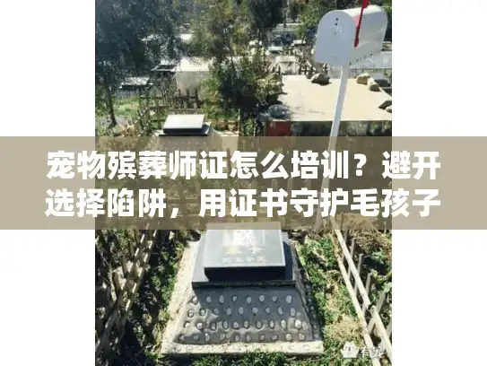 宠物殡葬师证怎么培训？避开选择陷阱，用证书守护毛孩子告别 字符数56以内，核心词前置，长尾词融入）