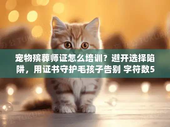 宠物殡葬师证怎么培训？避开选择陷阱，用证书守护毛孩子告别 字符数56以内，核心词前置，长尾词融入）