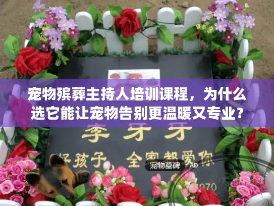 宠物殡葬主持人培训课程，为什么选它能让宠物告别更温暖又专业？