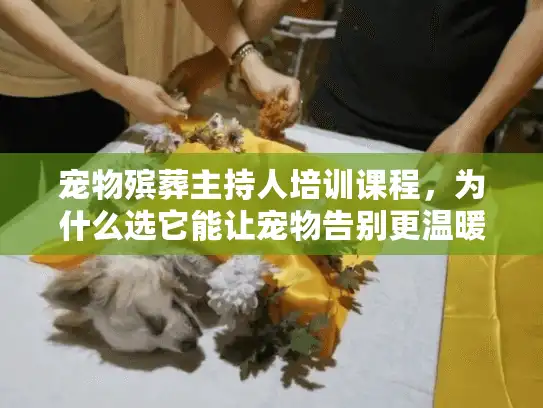 宠物殡葬主持人培训课程，为什么选它能让宠物告别更温暖又专业？