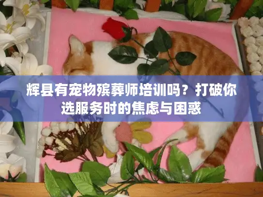 辉县有宠物殡葬师培训吗？打破你选服务时的焦虑与困惑