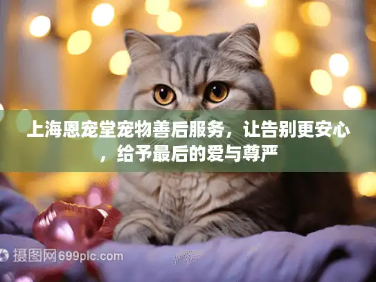 上海恩宠堂宠物善后服务，让告别更安心，给予最后的爱与尊严