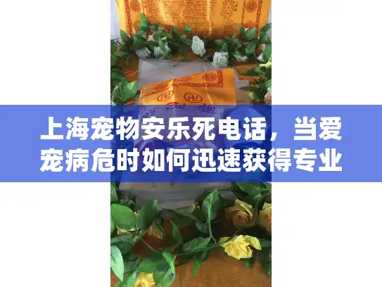 上海宠物安乐死电话，当爱宠病危时如何迅速获得专业服务支持？