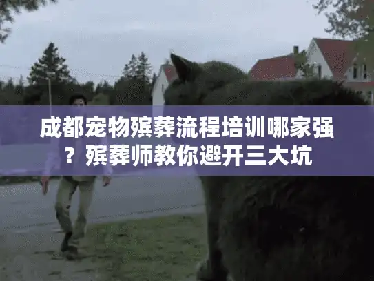 成都宠物殡葬流程培训哪家强？殡葬师教你避开三大坑
