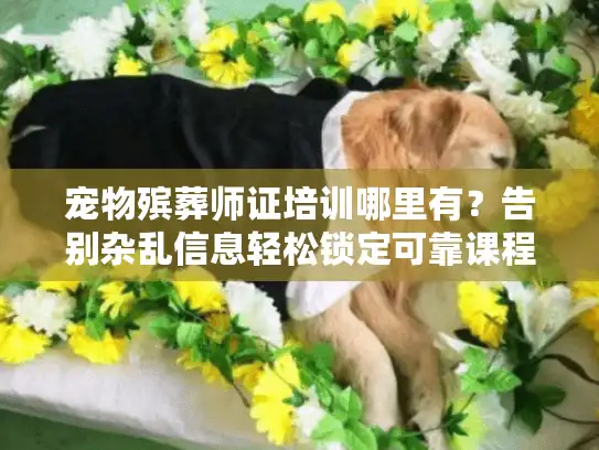 宠物殡葬师证培训哪里有？告别杂乱信息轻松锁定可靠课程