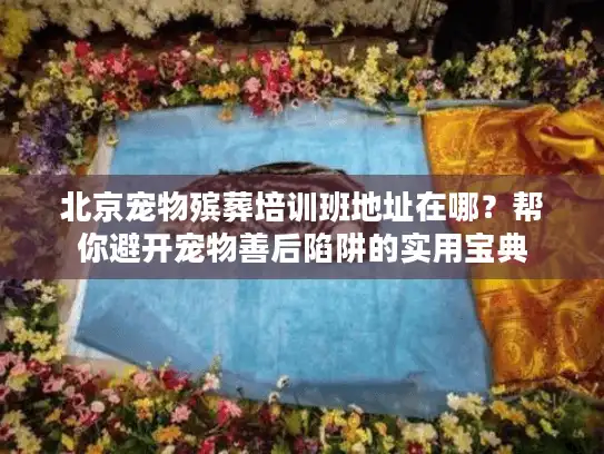北京宠物殡葬培训班地址在哪？帮你避开宠物善后陷阱的实用宝典