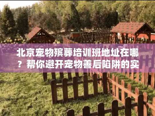 北京宠物殡葬培训班地址在哪？帮你避开宠物善后陷阱的实用宝典
