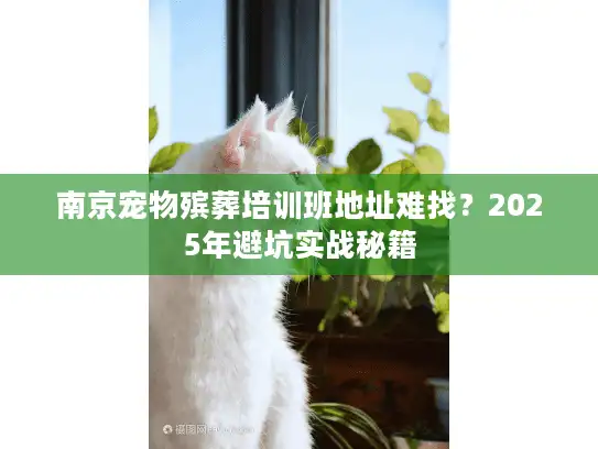 南京宠物殡葬培训班地址难找？2025年避坑实战秘籍