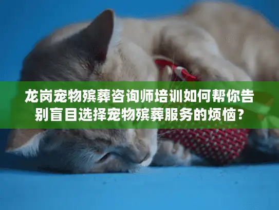龙岗宠物殡葬咨询师培训如何帮你告别盲目选择宠物殡葬服务的烦恼？