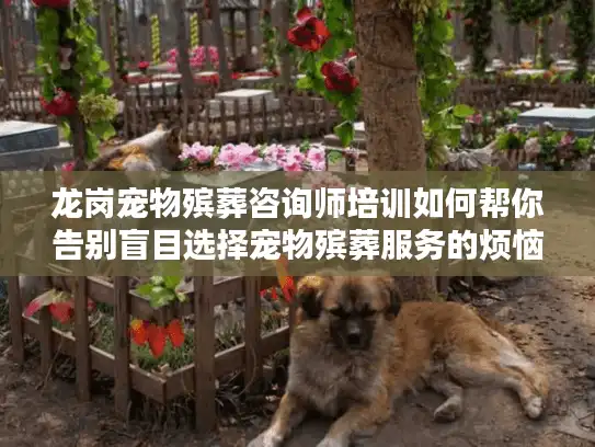 龙岗宠物殡葬咨询师培训如何帮你告别盲目选择宠物殡葬服务的烦恼？