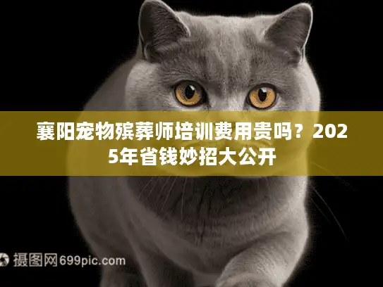 襄阳宠物殡葬师培训费用贵吗？2025年省钱妙招大公开