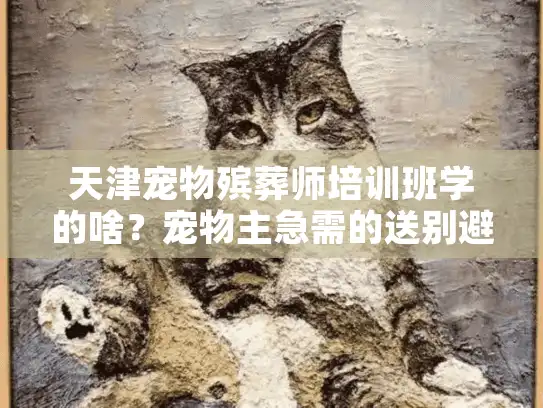 天津宠物殡葬师培训班学的啥？宠物主急需的送别避坑指南
