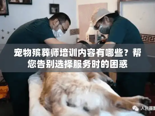 宠物殡葬师培训内容有哪些？帮您告别选择服务时的困惑