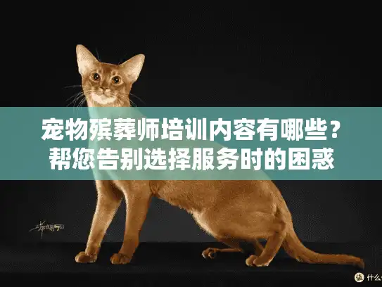 宠物殡葬师培训内容有哪些？帮您告别选择服务时的困惑