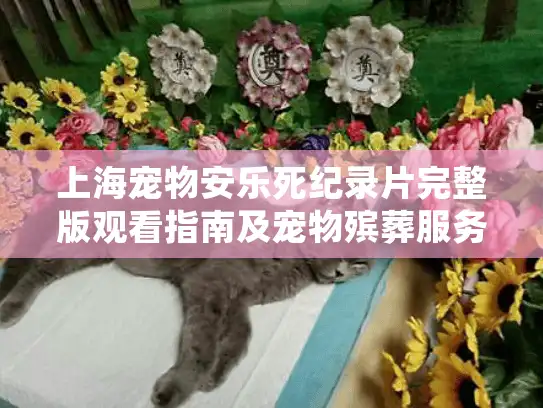 上海宠物安乐死纪录片完整版观看指南及宠物殡葬服务全解析