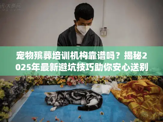 宠物殡葬培训机构靠谱吗？揭秘2025年最新避坑技巧助你安心送别爱宠！