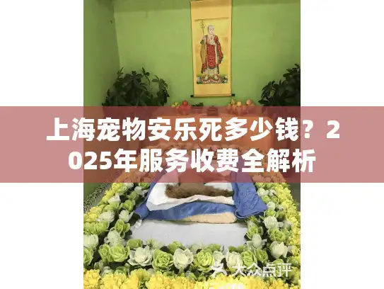 上海宠物安乐死多少钱？2025年服务收费全解析