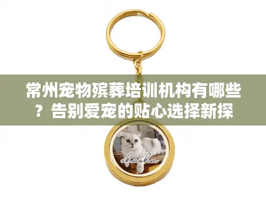 常州宠物殡葬培训机构有哪些？告别爱宠的贴心选择新探