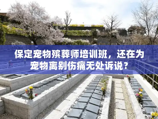 保定宠物殡葬师培训班，还在为宠物离别伤痛无处诉说？