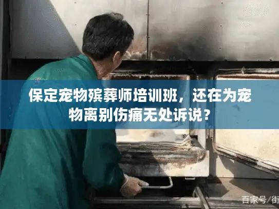 保定宠物殡葬师培训班，还在为宠物离别伤痛无处诉说？