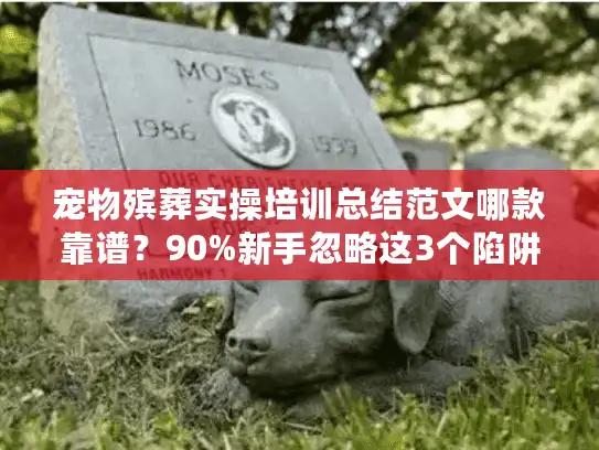 宠物殡葬实操培训总结范文哪款靠谱？90%新手忽略这3个陷阱！