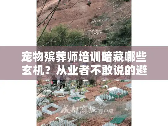 宠物殡葬师培训暗藏哪些玄机？从业者不敢说的避坑指南